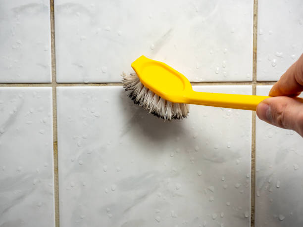 Best Mold Testing and Inspection Services in Vander, NC