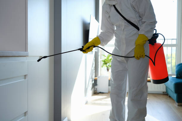 Best Residential Mold Remediation in Vander, NC