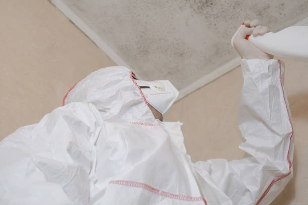 Best Residential Mold Remediation in Vander, NC