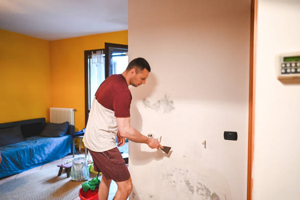 Best Mold Remediation for Specific Building Types in Vander, NC